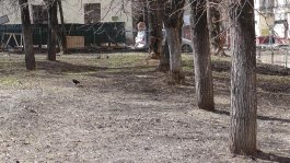 Чистота и порядок