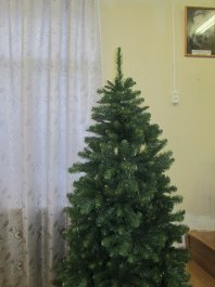 Встречаем новогодние праздники