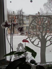 Встречаем новогодние праздники
