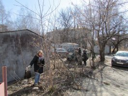 21 апреля в ЧДМШ №1 им. С.М.Максимова был проведён субботник