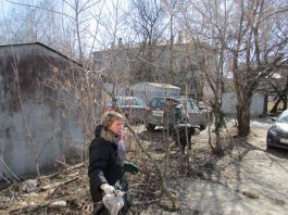 21 апреля в ЧДМШ №1 им. С.М.Максимова был проведён субботник