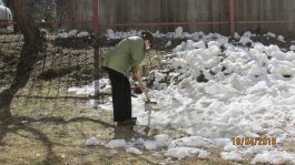 Субботник
