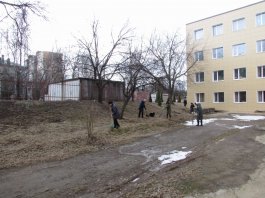 Сотрудники ЧДМШ №1 им. С.М.Максимова провели экологический субботник