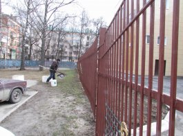 Сотрудники ЧДМШ №1 им. С.М.Максимова провели экологический субботник