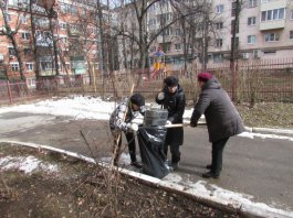 Сотрудники ЧДМШ №1 им. С.М.Максимова провели экологический субботник
