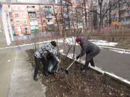 Сотрудники ЧДМШ №1 им. С.М.Максимова провели экологический субботник