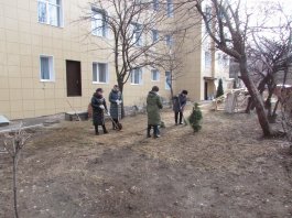 Сотрудники ЧДМШ №1 им. С.М.Максимова провели экологический субботник