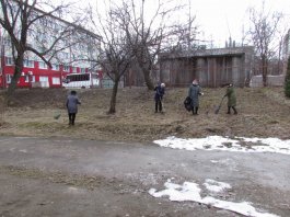 Сотрудники ЧДМШ №1 им. С.М.Максимова провели экологический субботник