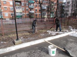 Сотрудники ЧДМШ №1 им. С.М.Максимова провели экологический субботник