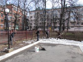 Сотрудники ЧДМШ №1 им. С.М.Максимова провели экологический субботник
