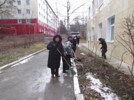 Сотрудники ЧДМШ №1 им. С.М.Максимова провели экологический субботник