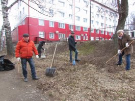 Сотрудники ЧДМШ №1 им. С.М.Максимова провели экологический субботник