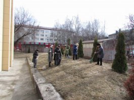 Сотрудники ЧДМШ №1 им. С.М.Максимова провели экологический субботник