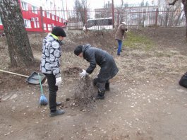 Сотрудники ЧДМШ №1 им. С.М.Максимова провели экологический субботник