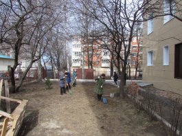 Сотрудники ЧДМШ №1 им. С.М.Максимова провели экологический субботник