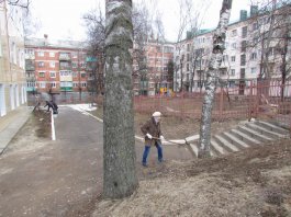 Сотрудники ЧДМШ №1 им. С.М.Максимова провели экологический субботник