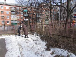 Сотрудники ЧДМШ №1 им. С.М.Максимова провели экологический субботник