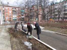 Сотрудники ЧДМШ №1 им. С.М.Максимова провели экологический субботник