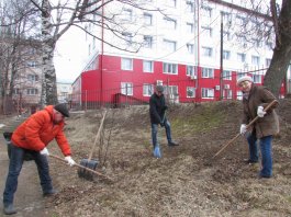 Сотрудники ЧДМШ №1 им. С.М.Максимова провели экологический субботник