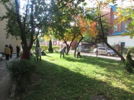 Осень стала еще краше