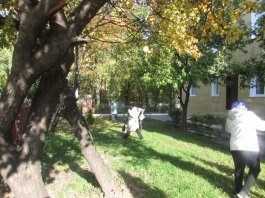 Осень стала еще краше