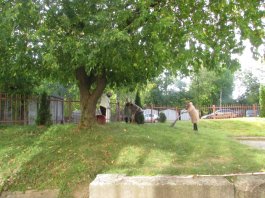 Осень стала еще краше