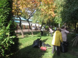 Осень стала еще краше