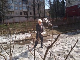 В Чебоксарской детской музыкальной школе №1 им. С.М. Максимова состоялся санитарный четверг