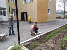 Сотрудники ЧДМШ №1 им. С.М. Максимова присоединились к Всероссийскому субботнику 2021 года