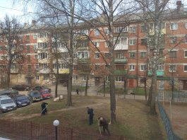 Сотрудники ЧДМШ №1 им. С.М. Максимова присоединились к Всероссийскому субботнику 2021 года