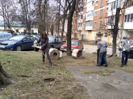 Сотрудники ЧДМШ №1 им. С.М. Максимова присоединились к Всероссийскому субботнику 2021 года