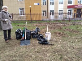 Сотрудники ЧДМШ №1 им. С.М. Максимова присоединились к Всероссийскому субботнику 2021 года