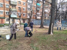 Сотрудники ЧДМШ №1 им. С.М. Максимова присоединились к Всероссийскому субботнику 2021 года