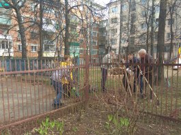Сотрудники ЧДМШ №1 им. С.М. Максимова присоединились к Всероссийскому субботнику 2021 года