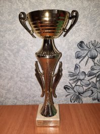 Домнова Мария — лауреат IV Международного конкурса пианистов  «Светозарная Казань»