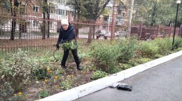 Педагоги школы начали проводить сезонную уборку на территории школы