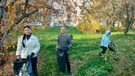 Состоялся городской субботник с участием музыкальной школы №1 им. С.М. Максимова.