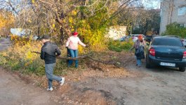 Состоялся городской субботник с участием музыкальной школы №1 им. С.М. Максимова.